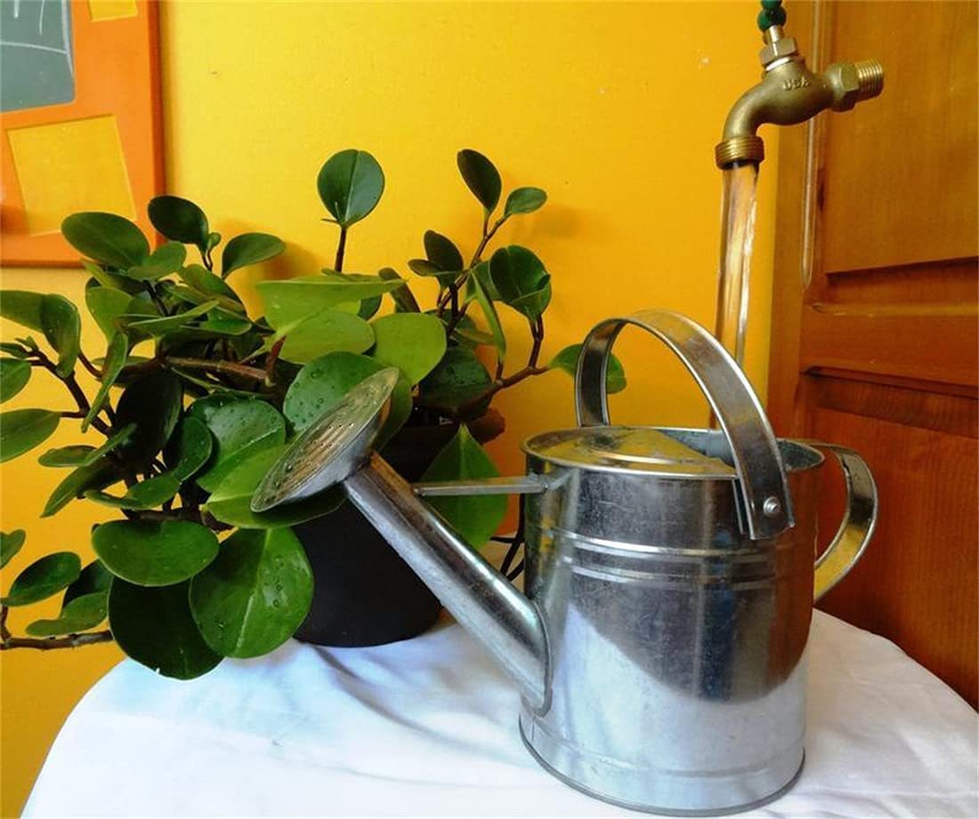 Floating Faucet Water Fountain Kits Magic Tap Running Lights Holiday Gift Invisible Flowing Spout Watering Can FountainYard Art