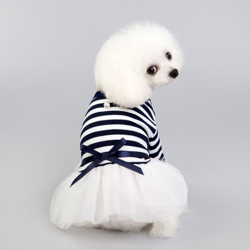 Navy Blue / XS